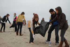 Beach cleanup