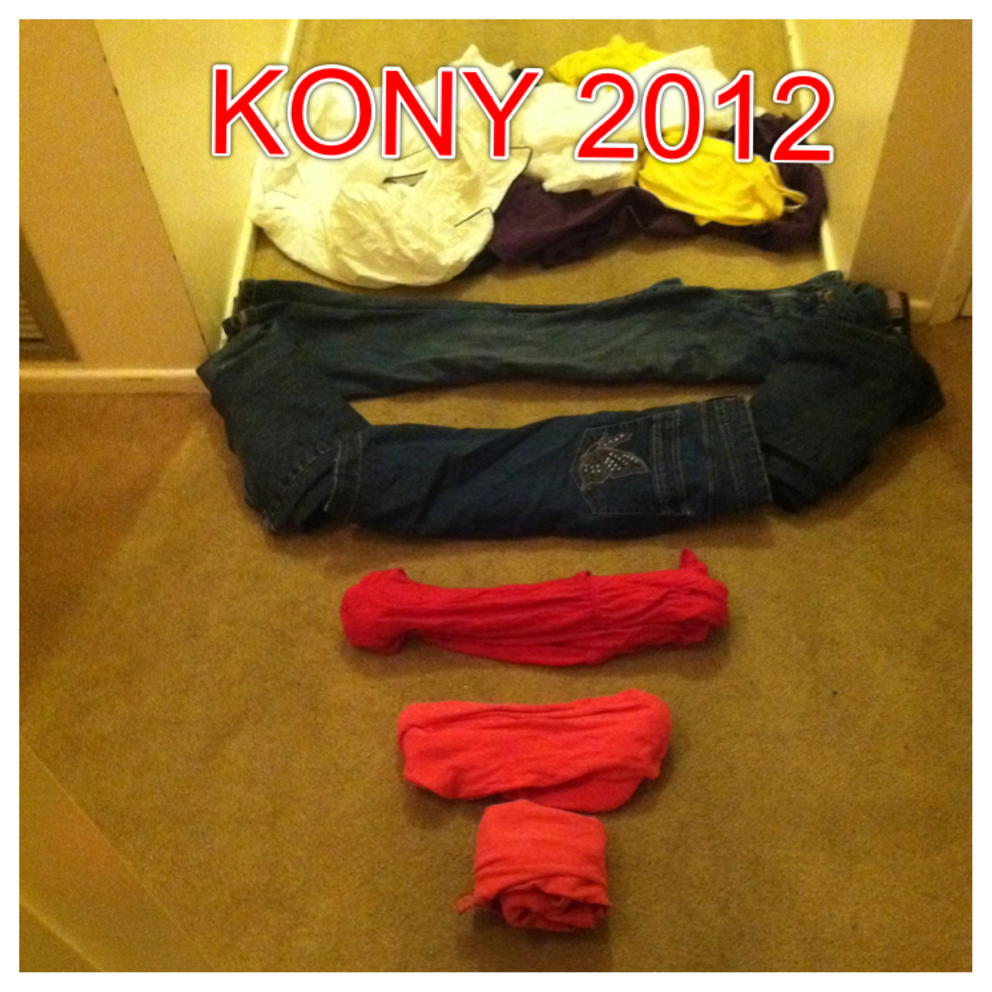 KONY 2012, Good Will