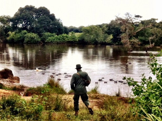 World Ranger Day - Ranger looks out over river with hippos