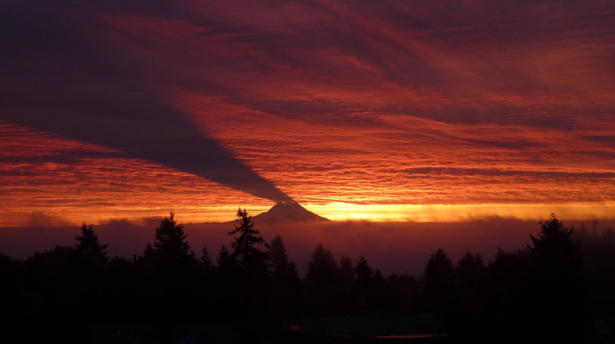 Mount Rainier casting a shadow on clouds.