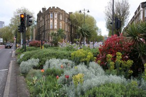 Guerilla Gardening, urbanization, Invisible Children