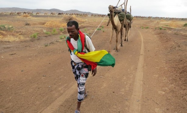 Herto Bouri, Ethiopia, 10°17'12'' N, 40°31'55'' E, January 24, 2013