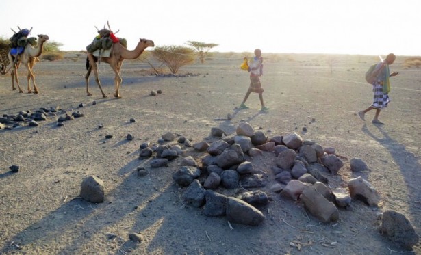 The Afar Triangle, Ethiopia, 10°7'39'' N, 40°30'59'' E, January 29, 2013