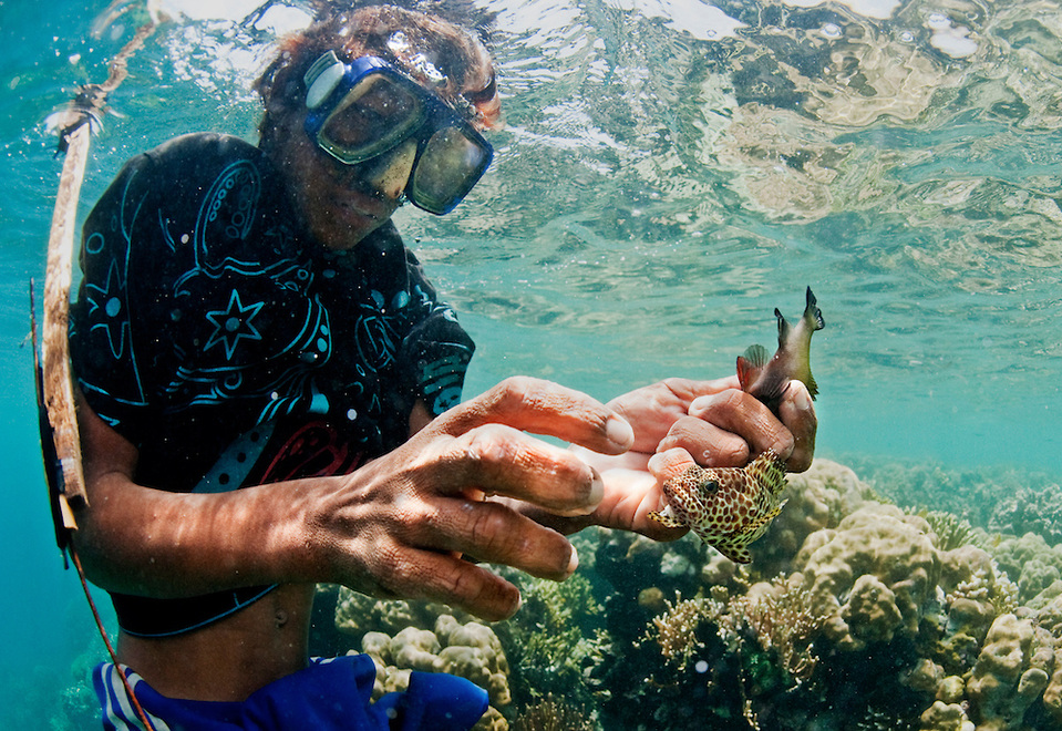 Bajau use handmade spear guns to fish in The Coral Triangle