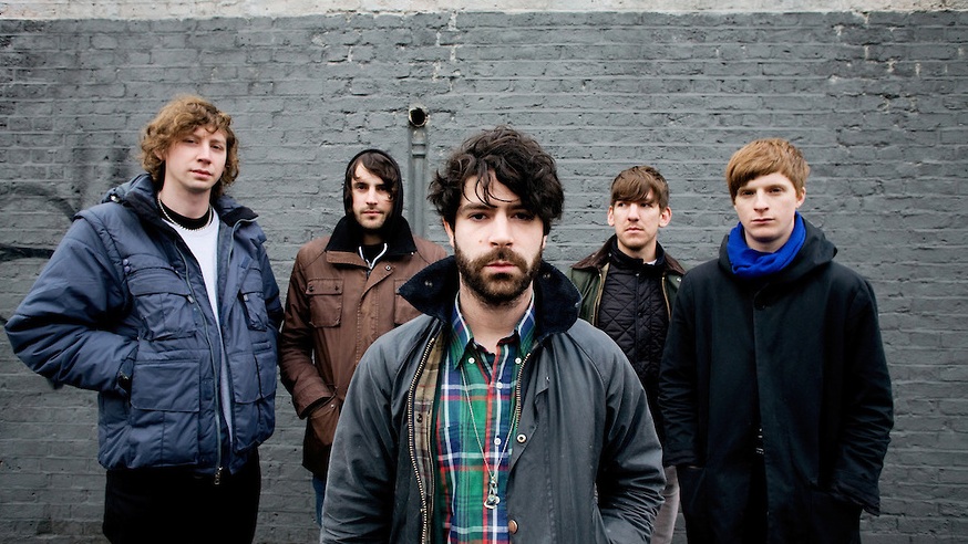 foals