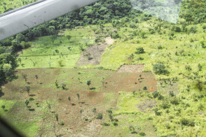Aerial shot of a LRA camp in DRC that has since been destroyed by the AU-RTF